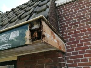 IMG_20230713_163637